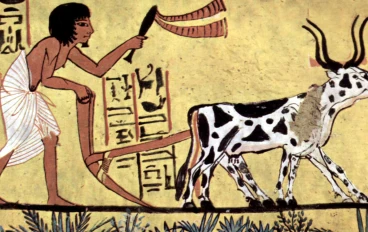 الحياة الاقتصادية في مصر القديمة