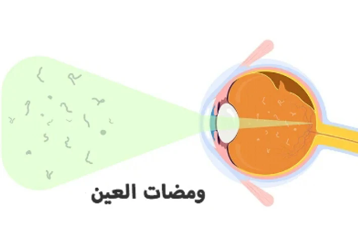 إشارات من داخل العين