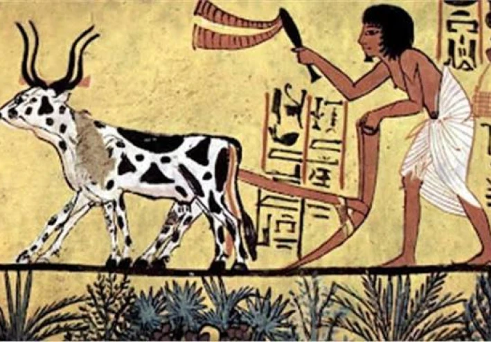 قصة الفلاح الفصيح من التاريخ المصري القديم