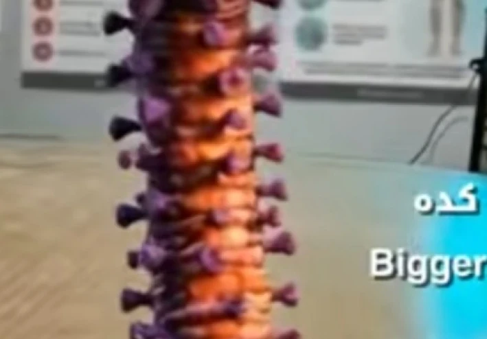 "حين يستيقظ الفيروس من سباته"