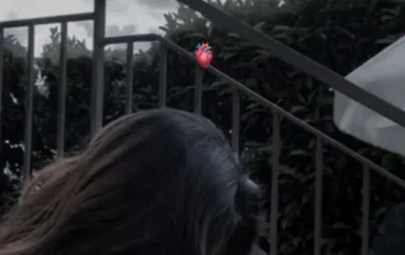 “حين جمعنا القدر في المهرجان”