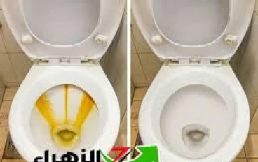 خلطة سحرية لإزالة اصفرار الحمام والجير.. مكونات بسيطة ونتيجة مذهلة في دقائق