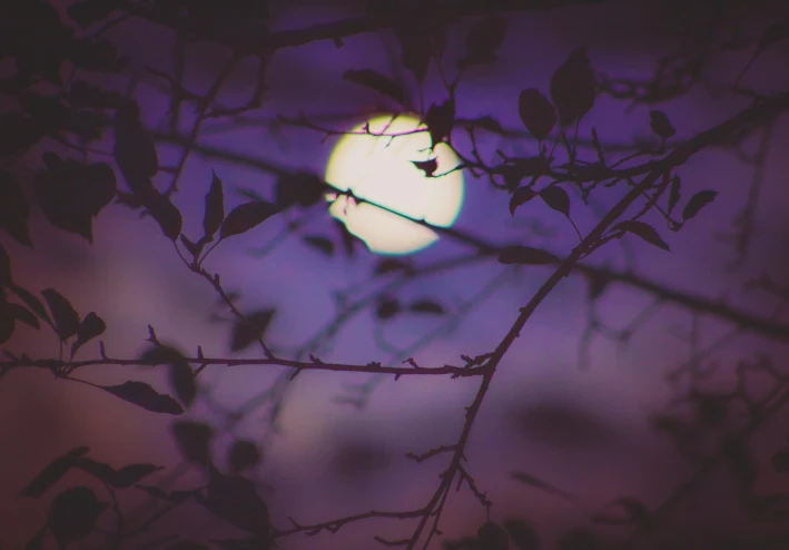 هل بإمكان الشمس أن تغضب ولا تعطينا دفئها؟ ماذا عن القمر هل له أن يختفي ويسقط في البحر؟