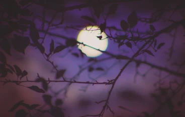 هل بإمكان الشمس أن تغضب ولا تعطينا دفئها؟ ماذا عن القمر هل له أن يختفي ويسقط في البحر؟ 