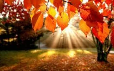 شمس الخريف: هذا الضوء اللطيف الذي يسخن... والأعمار دون سابق إنذار