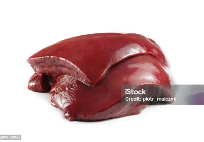 الكبده البقرى فوائدها ومصدرها وأضرارها