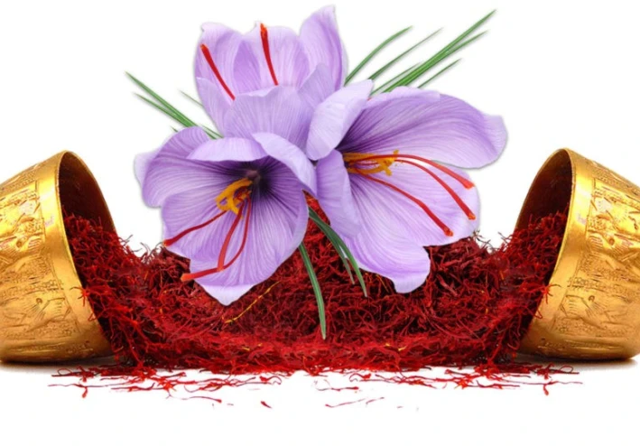 🤩 الزعفران: مش مجرد توابل... ده "الدهب الأحمر" اللي هيغير صحتك!