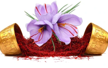 🤩 الزعفران: مش مجرد توابل... ده "الدهب الأحمر" اللي هيغير صحتك!