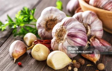 دراسات علمية: الثوم سلاح سري لعلاج مرض العصر