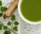 صورة مقال The Firefighter's Soup: Dousing the Flames of Arthritis with Nettle and Ginseng