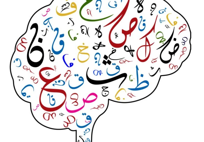 📚مادة اللغة العربية للصف الأول الابتدائي 2025–2026: شرح جميع الدروس وتلخيص المنهج كاملًا**