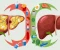 صورة مقال Your Liver is Not a Storage Unit: Reversing Non-Alcoholic Fatty Liver Disease