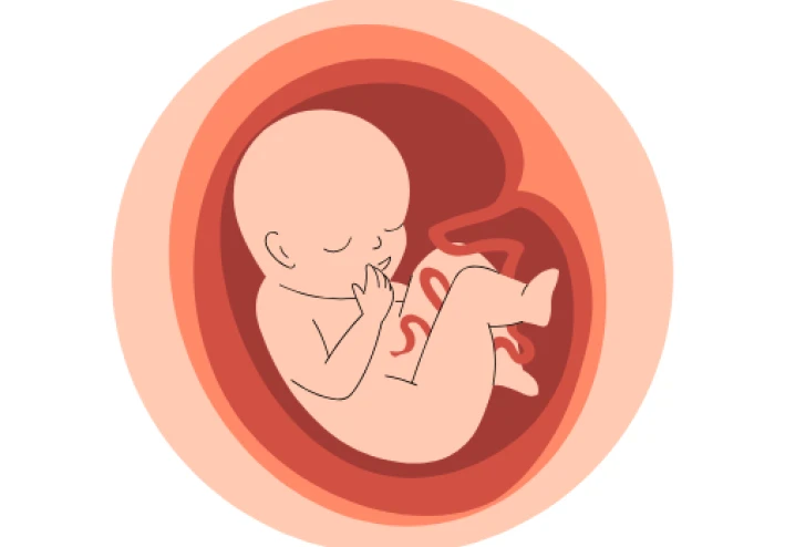 دليل الأم في كل مراحل الحمل: العناية بالجنين من بداية الحمل حتى الولادة