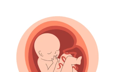 دليل الأم في كل مراحل الحمل: العناية بالجنين من بداية الحمل حتى الولادة 