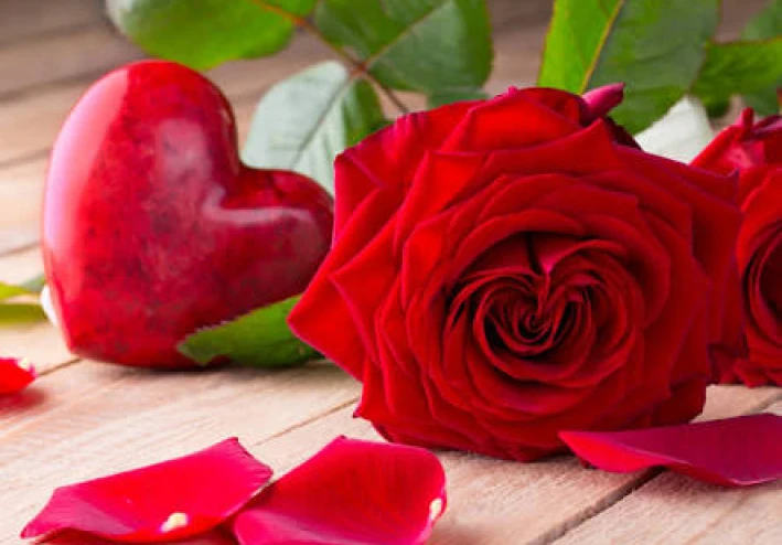 الورود والراحة النفسية: رحلة علمية وجمالية نحو السكينة الداخلية