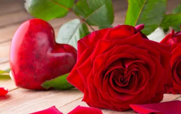 الورود والراحة النفسية: رحلة علمية وجمالية نحو السكينة الداخلية