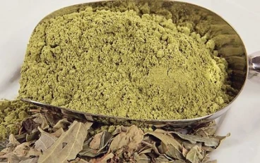 السدر للشعر: السر الطبيعي لتقوية الشعر وتكثيفه وعلاج التساقط