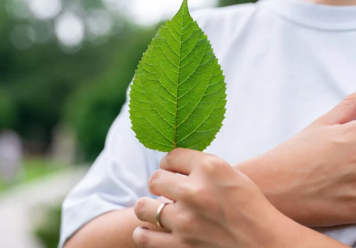 "الصحة النفسية: أغلى من الفلوس!"