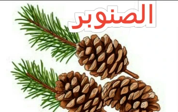 الشجره المعمره وكنوزه الغذائيه والعلاجيه
