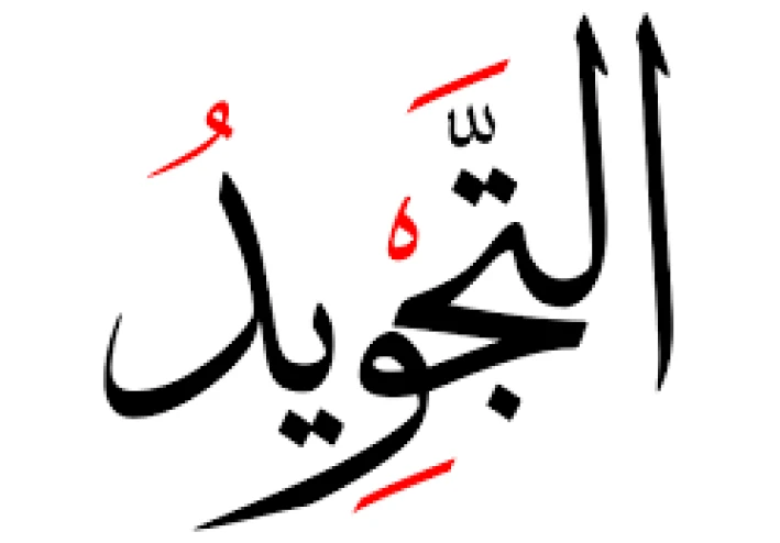 هو ينفع أتعلم القرآن بالتجويد بدون شيخ