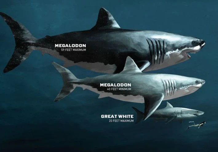 الميجالودن وكيف كان يعيش