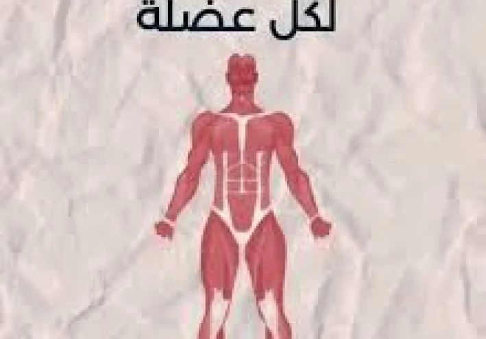 اهم اسباب زيادة القوة العضليه