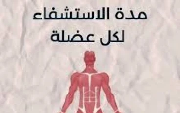 اهم اسباب زيادة القوة العضليه