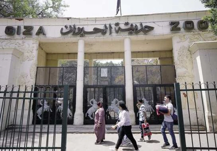 سعر تذكرة حديقة الحيوان بالجيزة 2025 وموعد الافتتاح الرسمي: كل التفاصيل اللي مستنيينها!"