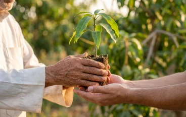 عندما عهد لي والدي  بشجرة: رحلة النضج والمسؤولية