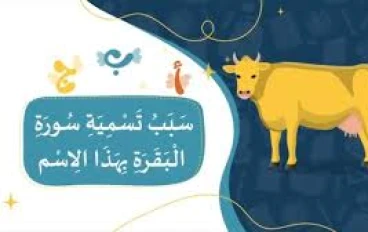  لماذا سُمّيت سورة البقرة بهذا الاسم؟ ما السر وراء ذلك   والعبرة:إياك تعمل زي بني إسرائيل… نفّذ قبل ما تتفلسف