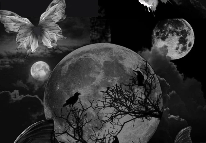 قريني لا ينام