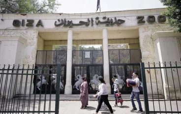 سعر تذكرة حديقة الحيوان بالجيزة 2025 وموعد الافتتاح الرسمي: كل التفاصيل اللي مستنيينها!"