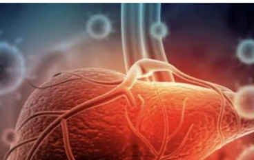 تلف الكبد يبدأ من البول: 5 علامات تحذيرية لا يجب تجاهلها