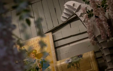 قصة مغامرة الخريطة السحرية وقصة أصدقاء تحت شجرة الحكمة