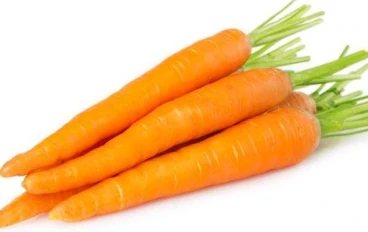 فوائد الجزر و اضرارة