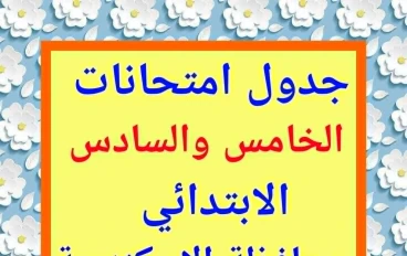  رسميًا.. جدول امتحانات الصفين الخامس والسادس الابتدائي بالاسكندرية  الترم الأول 2024/2025    المواعيد كاملة ونصائح مهمة لأولياء الأمور