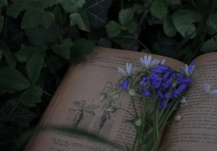 فوائد القراءه للاطفال وتأثيرها على العلم