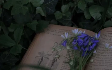 فوائد القراءه للاطفال وتأثيرها على العلم 