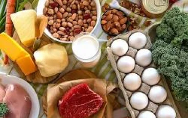 اهم بروتين وانت بتخس