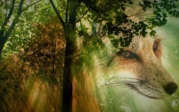 ✨ يوسف عليه السلام: رحلة الصبر والحكمة من الظلام إلى النور✨