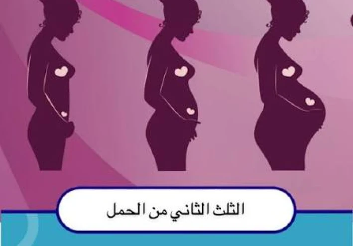 الثلث التاني من فترة الحمل وأعراضه