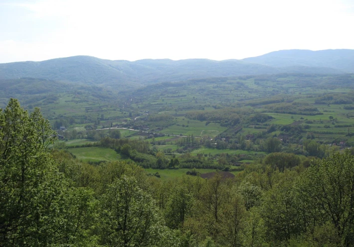 معركة كونوفيتسا: النصر الذي قاد إلى سلام سيغد