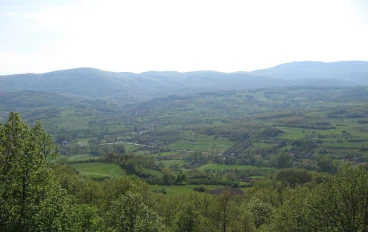 معركة كونوفيتسا: النصر الذي قاد إلى سلام سيغد