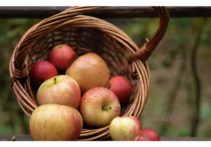 ​🍎 ما هو أفضل وقت لتناول التفاح؟ خبراء التغذية يجيبون على "لغز الفاكهة"