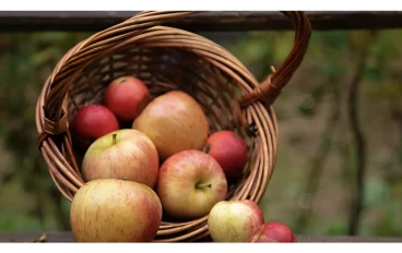 ​🍎 ما هو أفضل وقت لتناول التفاح؟ خبراء التغذية يجيبون على "لغز الفاكهة"