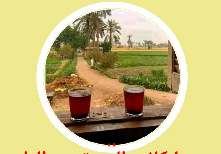 رحلة دافئة الى الريف المصرى  حين كانت البيوت من طين… و القلوب من ذهب