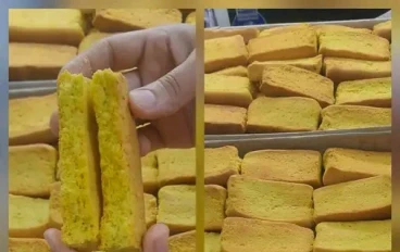 الفايش الصعيدي  علي اصوله 