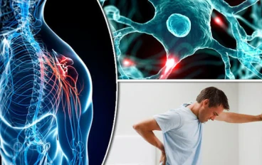 حين يهاجم الجهاز المناعي نفسه : رحلة داخل مرض التصلب المتعدد للأعصاب