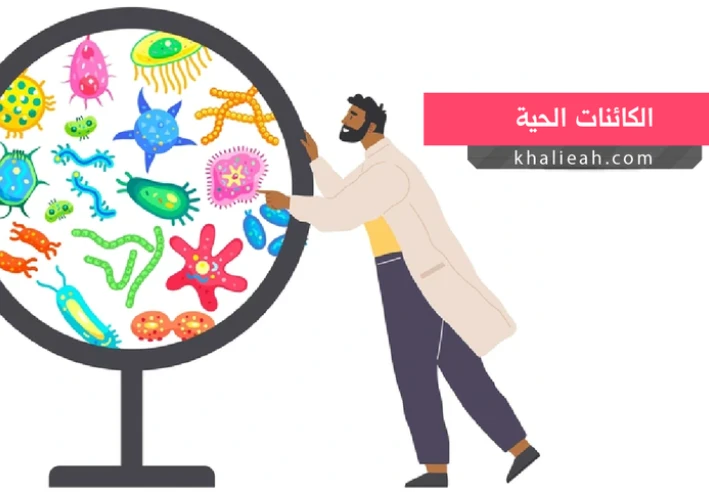 علم الاحياء الواسع