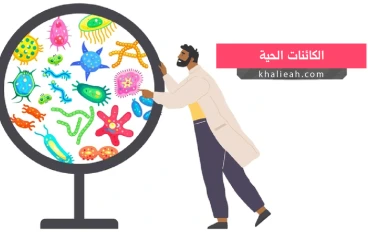 علم الاحياء الواسع 